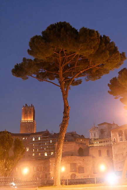 Rome S&C meeting-031